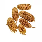 Birch pine arany 15dkg/csomag