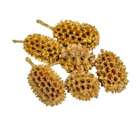 Casuarina antik arany 17dkg/csomag Casuarina antik arany 17dkg/csomag