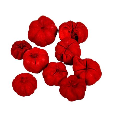 Mini tök termés piros 12dkg/csom