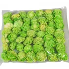Ming boglárka zöld 4cm 50db-os
