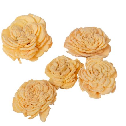 Ming boglárka aranysárga 6cm 25db-os csomag