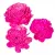 Ming boglárka pink 6cm 25db-os