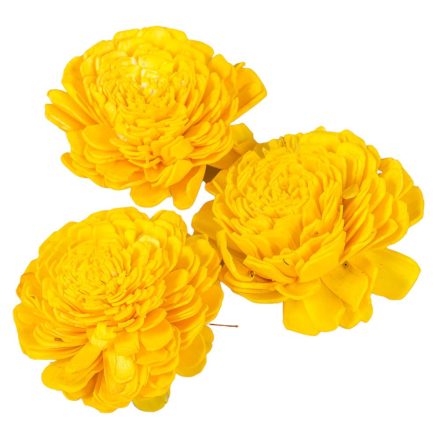 Ming boglárka aranysárga 8cm 12db-os