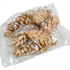 Strabus toboz pezsgő 10-18cm 6db-os