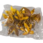 Wild lili szárított aranysárga 11db/csom