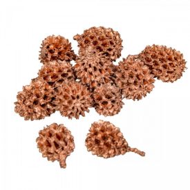 Casuarina bronz 17dkg/csomag Casuarina bronz 17dkg/csomag