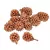Casuarina bronz 17dkg/csomag