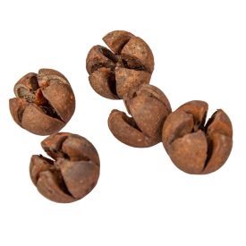 Chiruni szárított termés terrakotta 22dkg/csom Akció