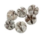 Chiruni szárított termés havas fehér 22dkg/csom