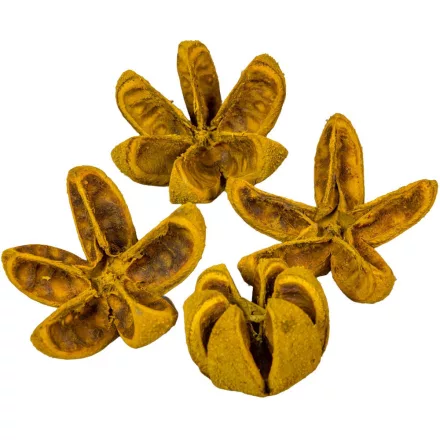 Vad narancs szárított aranysárga 14db-os