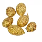 Cane fruit pálma mag metál arany 13dkg/csomag