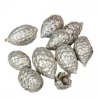 Cane fruit pálma mag metál pezsgő 13dkg/csomag