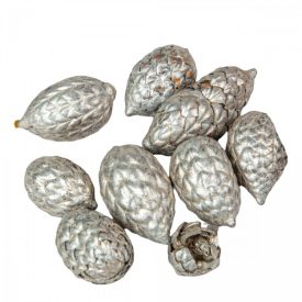 Cane fruit pálma mag metál pezsgő 13dkg/csomag Cane fruit pálma mag metál pezsgő 13dkg/csomag