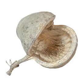 Budha dió metál pezsgő 3db/csom Budha dió metál pezsgő 3db/csom