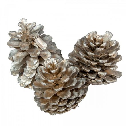 Pine cone euro közepes toboz 60dkg/csom