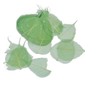 Fátyol levél zöld 100db-os Fátyol levél zöld 100db-os