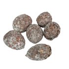 Cane fruit pálma mag bogyós termés havas fehér 17dkg/csom