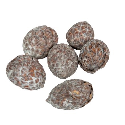 Cane fruit pálma mag bogyós termés havas fehér 10 db/cs.