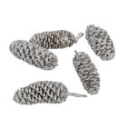 Birch pine szárított metál ezüst 15dkg/csom