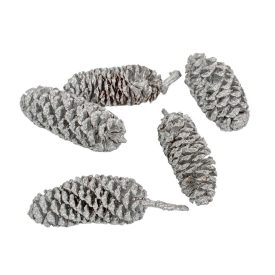 Birch pine szárított metál ezüst 15dkg/csom Birch pine szárított metál ezüst 15dkg/csom