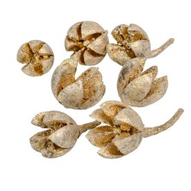 Chiruni szárított termés pezsgő 17dkg/csom