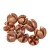 Chiruni szárított termés bronz 17dkg/csom