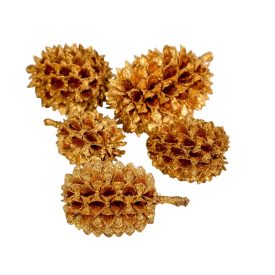 Casuarina arany 17dkg/csomag Casuarina arany 17dkg/csomag