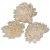 Ming zinnia 4cm 50db-os