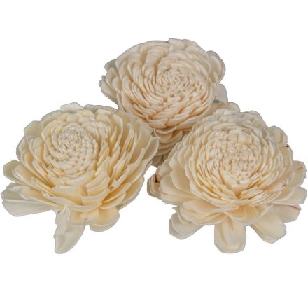 Ming boglárka 8cm 12db-os