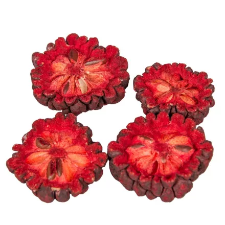 Ata szelet szárított piros 22dkg/csom