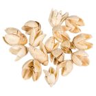 Bakuli szárított fehérített 23dkg/csom