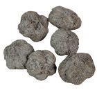 Fokhagyma termés szárított szürke 16dkg/csom