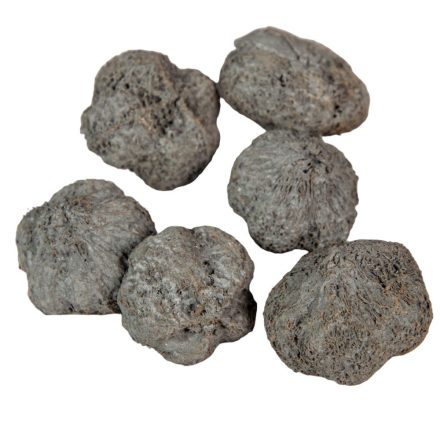 Fokhagyma termés szárított szürke 16dkg/csom