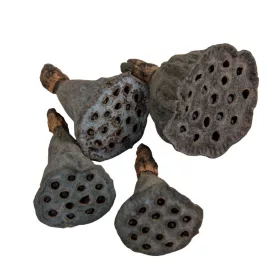 Lótus natúr mini 6dkg