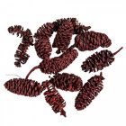 Birch pine szárított bordó 28dkg/csom