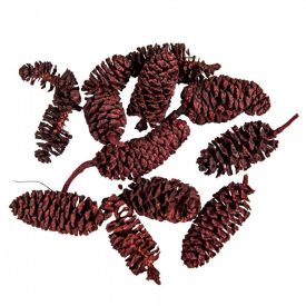 Birch pine szárított bordó 28dkg/csom Birch pine szárított bordó 28dkg/csom