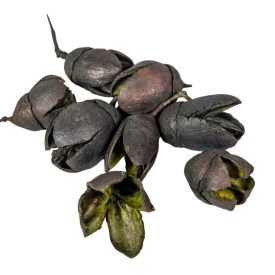 Bakuli szárított fekete 32dkg/csomag