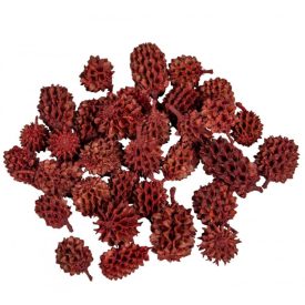 Casuarina piros 25dkg/csomag