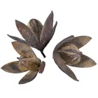 Wild lili száritott havas szürke 11db/csomag