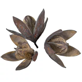 Wild lili száritott havas szürke 11db/csomag