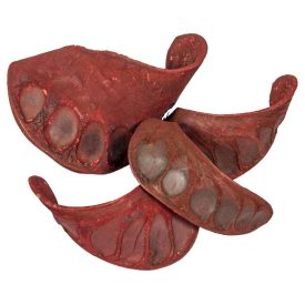 Elefánt fül szárított bordó 25dkg/csom