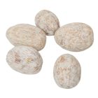 Amra dió falfestékes mud green 25dkg/csom