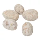 Amra dió falfestékes mud green 25dkg/csom