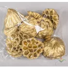 Lótusz szárított 8-10cm arany 9 db-os