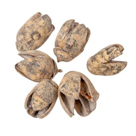 Bakuli szárított salmon 20dkg/csom