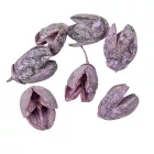 Bakuli szárított mauve 20dkg/csom