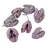 Bakuli szárított mauve 20dkg/csom
