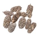 Birch pine szárított falfestékes fehér 18dkg/csom