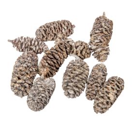 Birch pine szárított falfestékes fehér 18dkg/csom Birch pine szárított falfestékes fehér 18dkg/csom