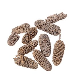 Birch pine szárított falfestékes salmon 18dkg/csom Birch pine szárított falfestékes salmon 18dkg/csom